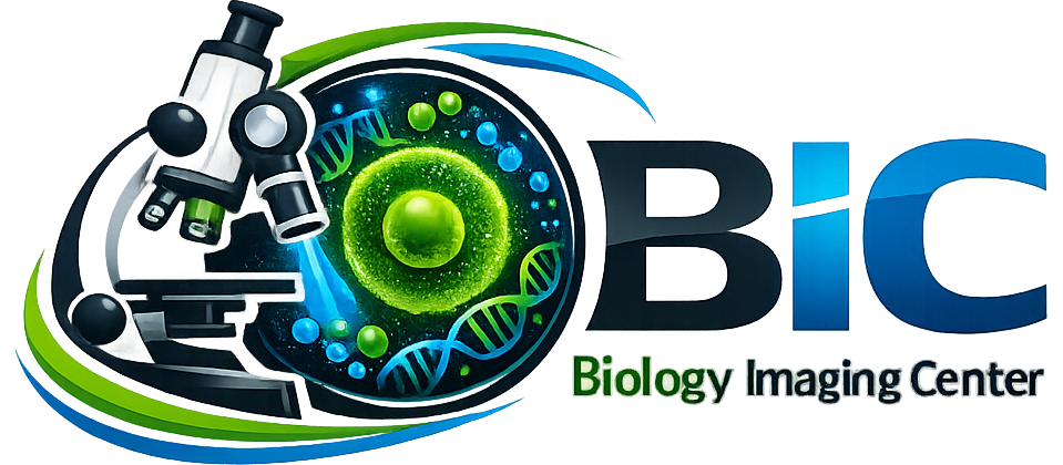 STAGING Bioimaging Utrecht